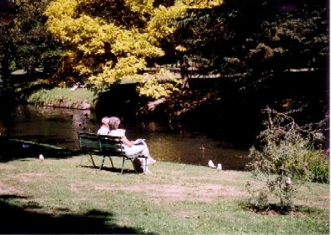 クライストチャーチの植物園