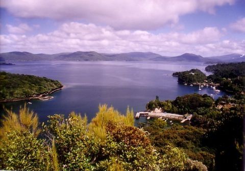 スチュアート島（Halfmoon Bay？）