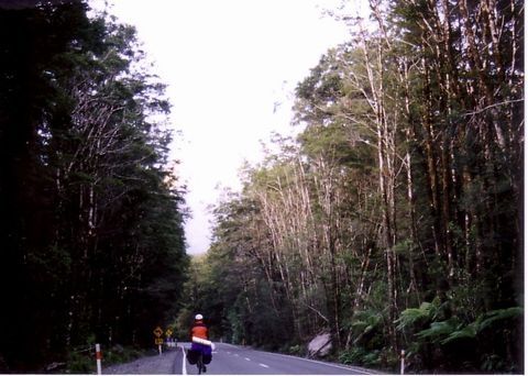 自転車旅行の姿